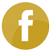 FacebookIcon