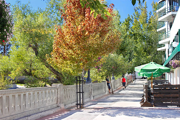 Truckee River Walk with fall color trees