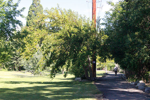 Idlewild Park Path