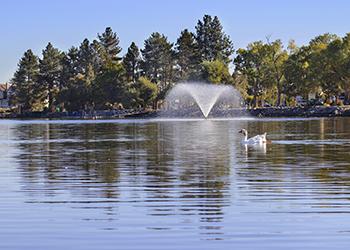 Virginia Lake Park