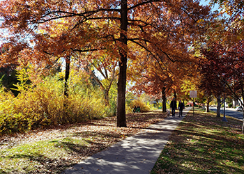 Riverside Drive Park