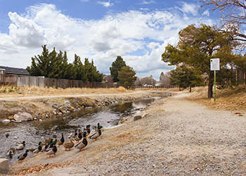 Reggie Road Pathway