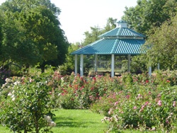 Rose Garden at Idlewild Park