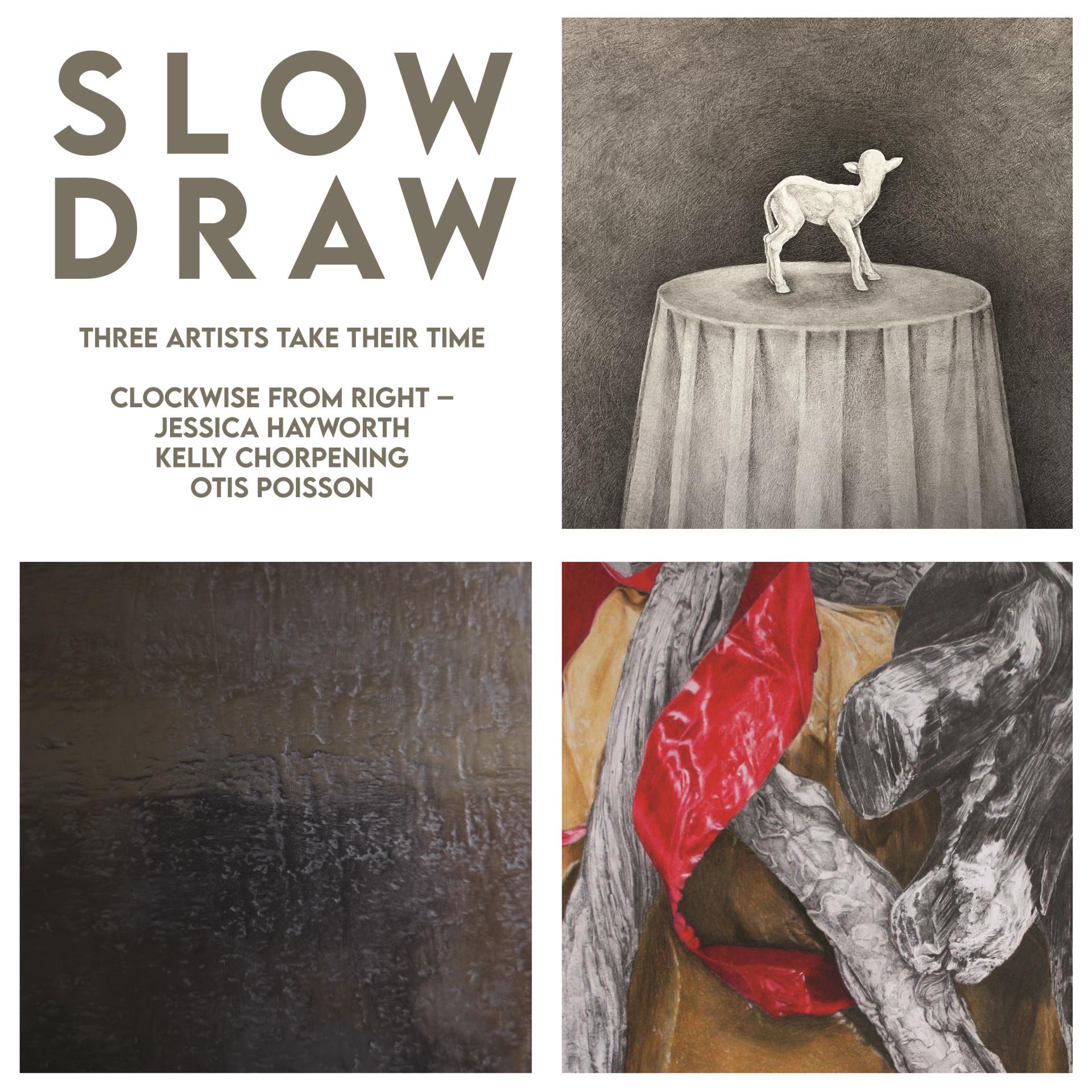 show-image-slow-draw (2)